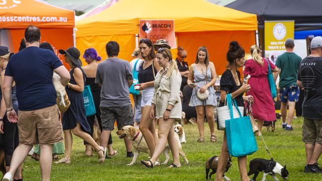 Crowds at a Paws at the Park market in November 2020. Picture: Nigel Hallett.