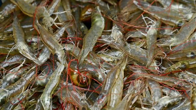 Thai Union has lots of prawns to shift and Red Lobster had lots of mouths to feed. (Photo by Marcos Pin / AFP)