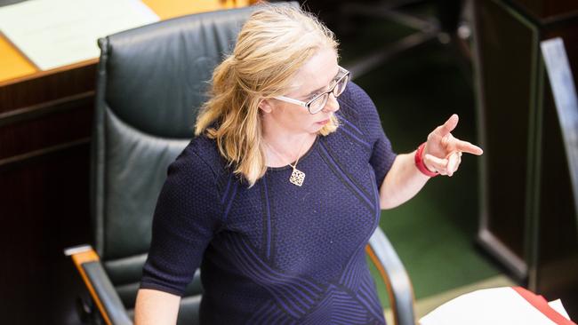 Opposition spokeswoman for women Michelle O'Byrne. Picture: RICHARD JUPE