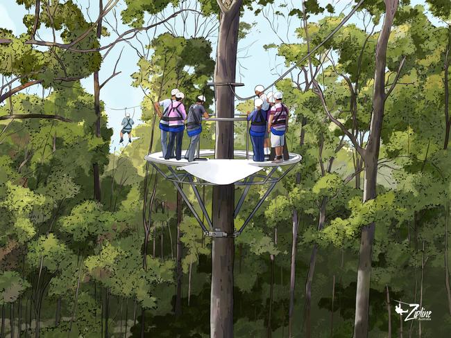 Mount Coot-tha zipline artists impressions - Treetop Canopy Tour