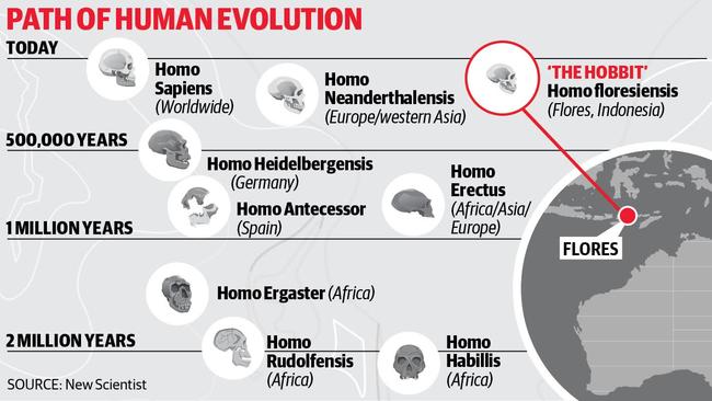 Homo naledi Walked Earth More Recently than Thought