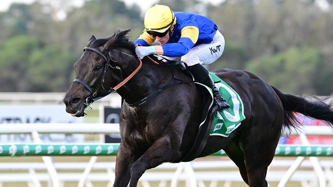 Kyle Wilson-Taylor rode Punch Lane in a trial in Sydney last week. Picture: Grant Peters / Trackside Photography