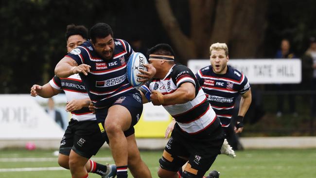 Eastern Suburbs playing West Harbour in round two of the Shute Shield.