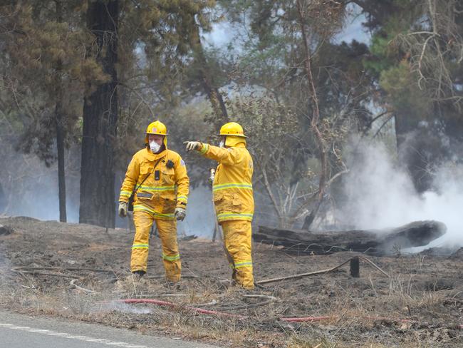 Fire fighters in the Beaufort area. Picture: David Crosling