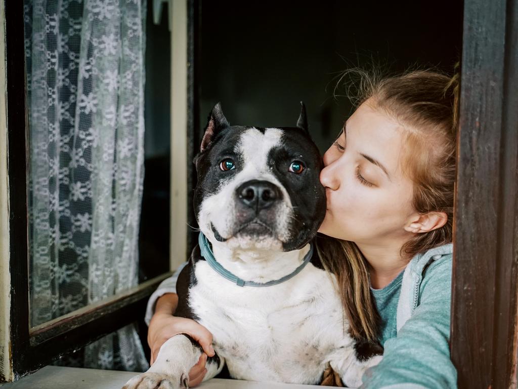 For many pet owners, their animal comes first. Picture: iStock