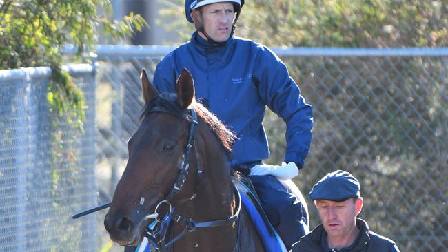 Hugh Bowman’s mount Marmelo could be surprise packet in the Caulfield Cup.