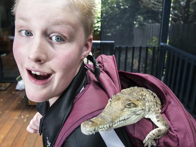 Cleo catching a ride in Ethan Carroll’s school bag. Picture: Sarah Matray