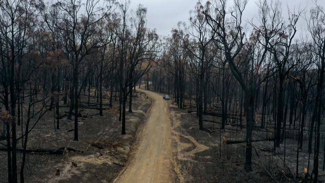 Forests across East Gippsland have been ravaged by this summer’s fires. Picture: Alex Coppel