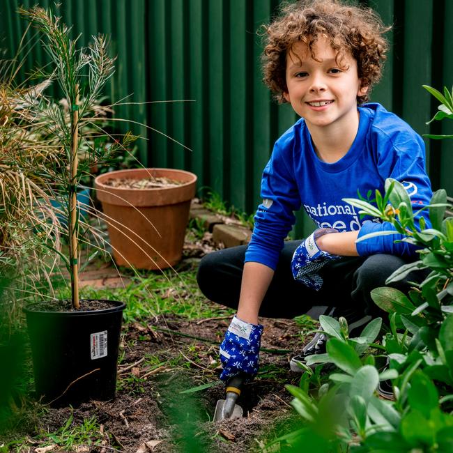 Your positive action could be planting a tree, just like Brayden who popped this beauty in his backyard for National Tree Day. Picture: Elise Catterall