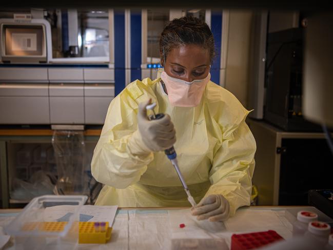 A specialist doctor checks samples for COVID-19 at the Royal Melbourne Hospital. Picture: Jason Edwards