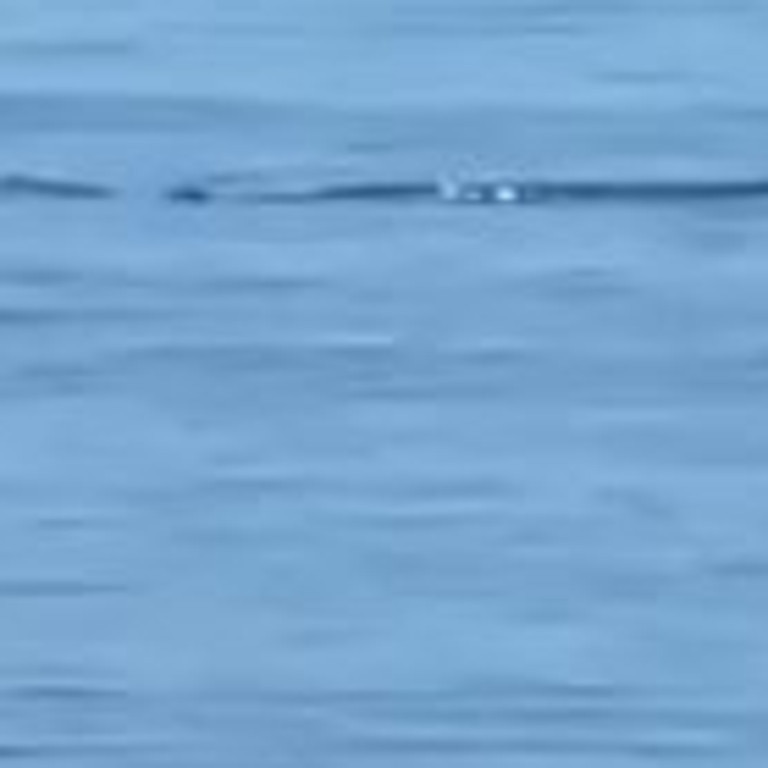A Gladstone woman has shared footage from the beach where her daughter and dog were frightened to realise a crocodile was swimming barely metres away from where they were swimming. Video: supplied