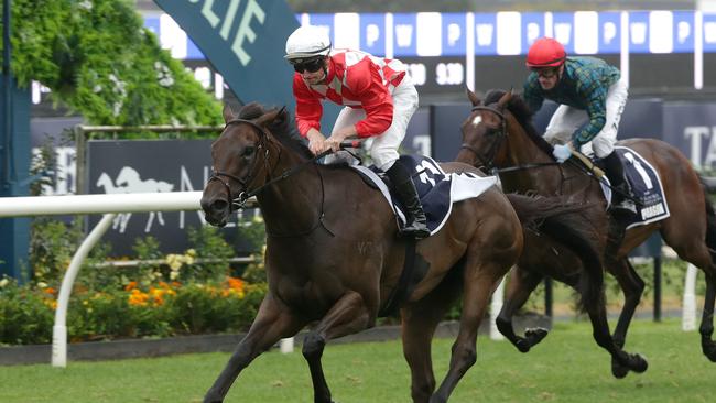 James McDonald winning aboard Orchestral in the Karaka Millions. Picture: Trish Dunell