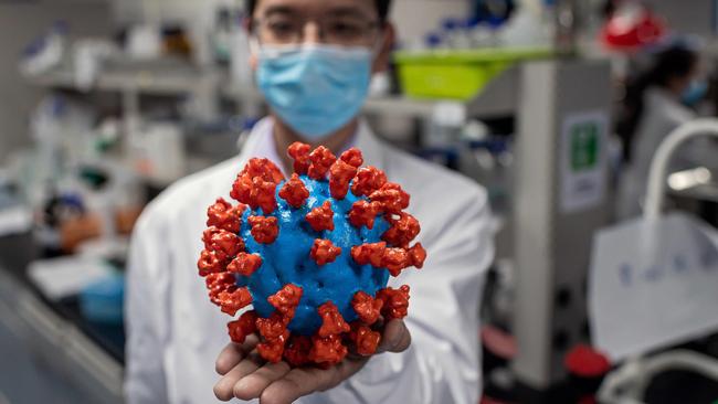 An engineer holding a plastic model of the COVID-19 coronavirus at the Quality Control Laboratory at the Sinovac Biotech facilities in Beijing.Picture: AFP