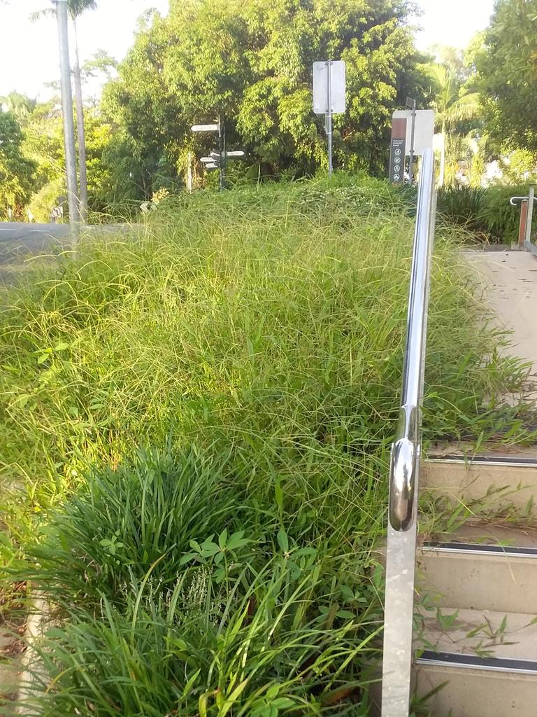 Kuranda residents believe the village in the rainforest has been forgotten by Mareeba Shire Council in terms of up-keep of the town and delivery of maintenance to pubic areas. Picture: Supplied