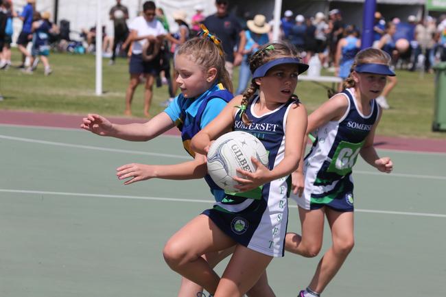 The Netball Qld Primary Schools Cup grand finals are being held at the Hinterland District Netball Association at Mudgeeraba. Picture: Mike Batterham.