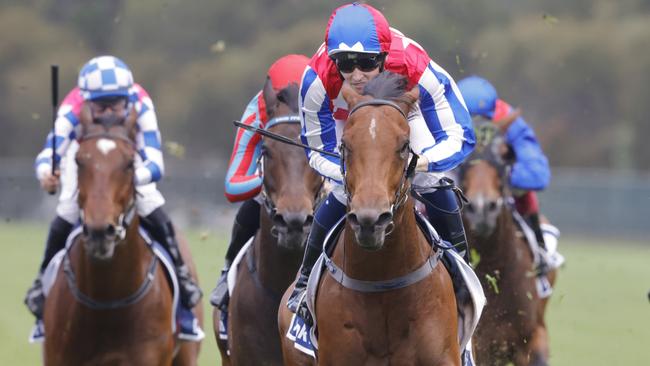 SYDNEY, AUSTRALIA - NOVEMBER 05: Tom Sherry on Fox Fighter wins race 5 the Furphy Handicap  during Sydney Racing at Rosehill Gardens on November 05, 2022 in Sydney, Australia. (Photo by Jenny Evans/Getty Images)