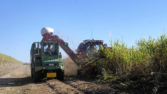 A series of sugar marketing information sessions is being held this week. Picture: TAHLIA STEHBENS