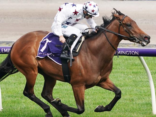 Sunlight takes out the Gilgai Stakes on Turnbull Stakes Day at Flemington last year.