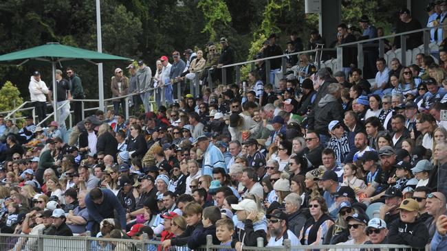 Fans enjoy the atmosphere at the NRL match between Cronulla Sharks and Gold Coast Titans at C.ex Stadium. Photo: Tim Jarrett