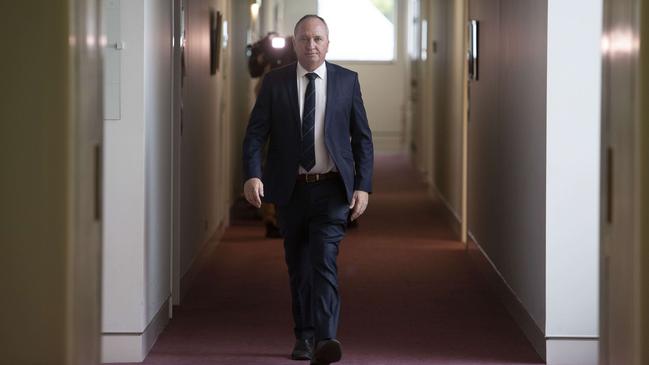 Barnaby Joyce. Picture: NCA NewsWire / Gary Ramage