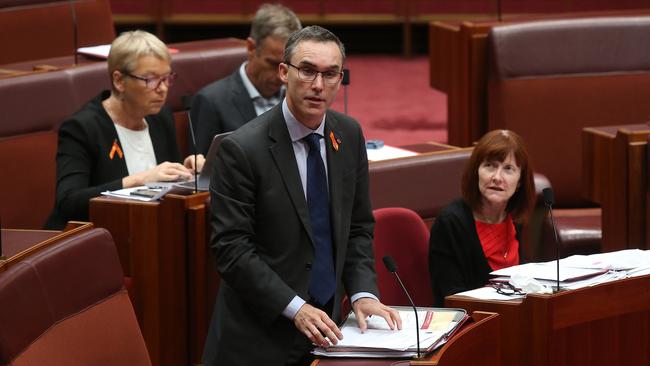 Senator Tim Storer officially informing the Senate that he will be sitting as an independent. Picture: Kym Smith