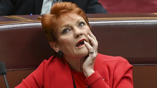 One Nation senator Pauline Lee Hanson expressed her concerns about the reported move. Picture: NCA NewsWire / Martin Ollman