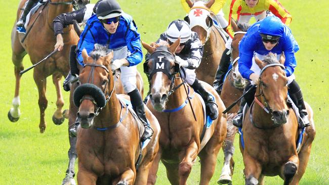 Happy Clapper’s main spring aim will be the Epsom Handicap. Picture: Jenny Evans
