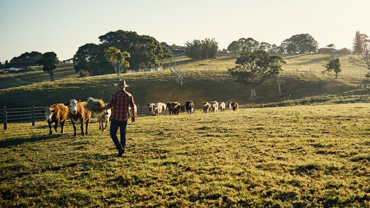 Australia’s agriculture sector brings ‘fairly outsized impact’ in export revenue