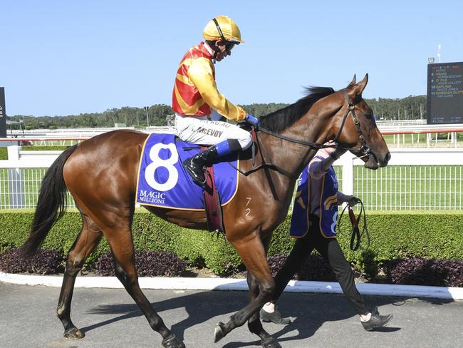 Promising filly Memo can break through for her first win at Randwick. Picture: Bradley Photos