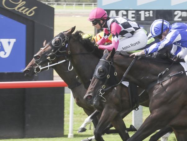 Silent Russian (pink cap) will appreciate a drop in grade and can bounce back to winning form. Picture: Bradley Photos