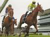 Have Everest riches punctured any dreams of Ascot?