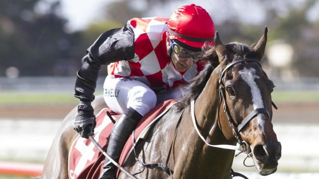 Martin Kelly has been banned from racing for 20 months. Picture: Atkins Photography