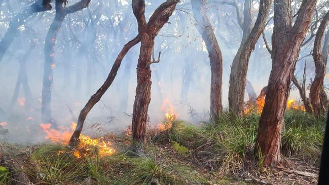 The bushfire burned through 14 hectares of land overnight. Picture: Facebook / CFA Birregurra