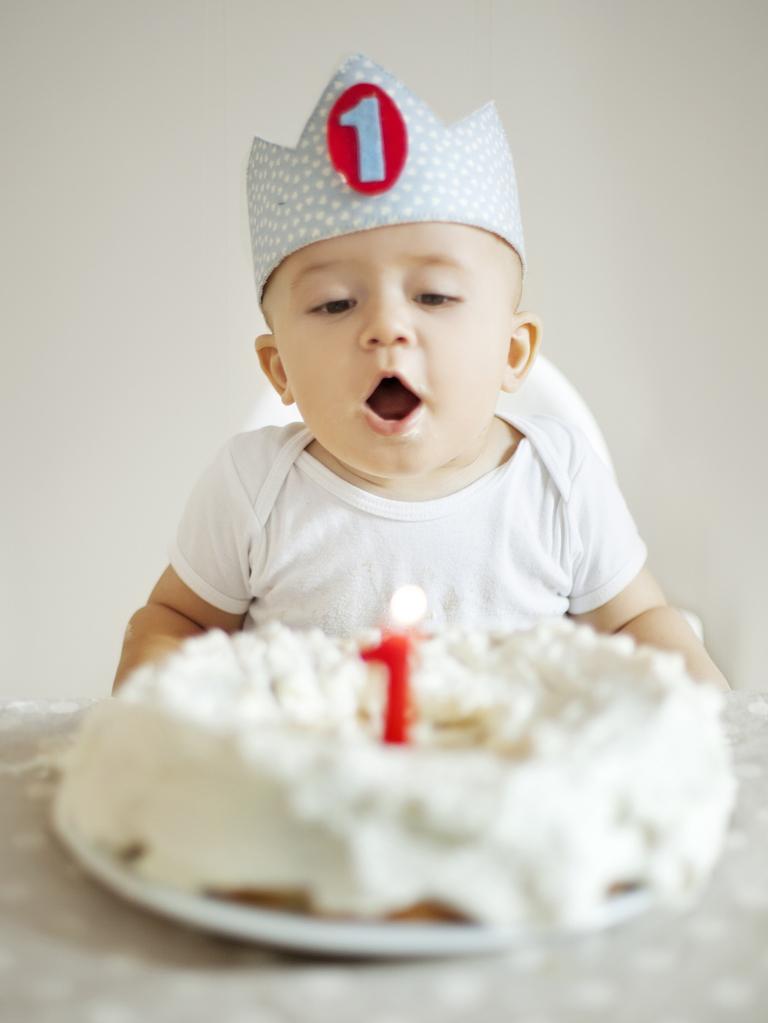 One Year Old boy celebrating brithday