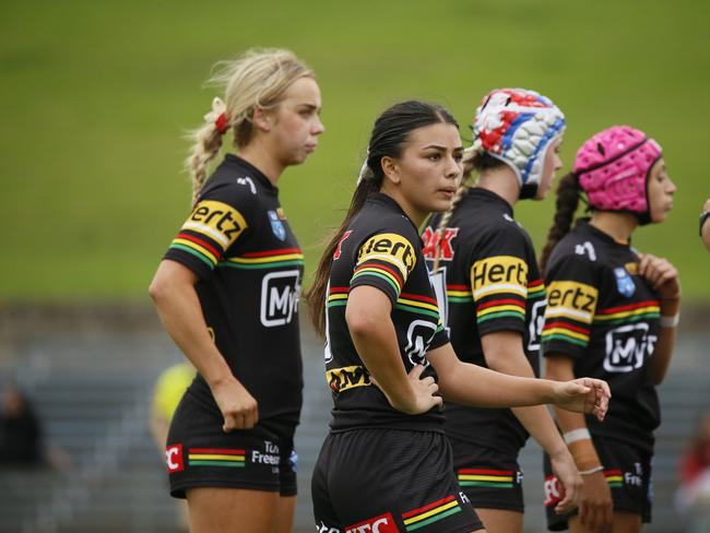 The Panthers watch on. Picture: Warren Gannon Photography.