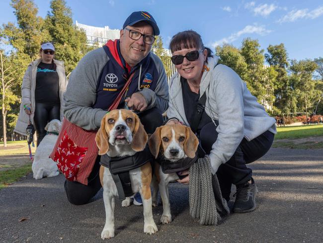 RSPCA SA's Million Paws Walk in Adelaide on May 25, 2025. Picture: Ben Clark