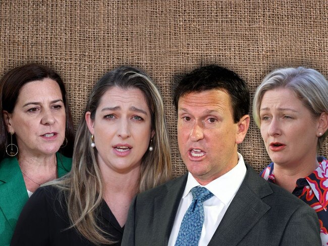 Some of the LNP ministers that could be sacked under David Crisafulli.