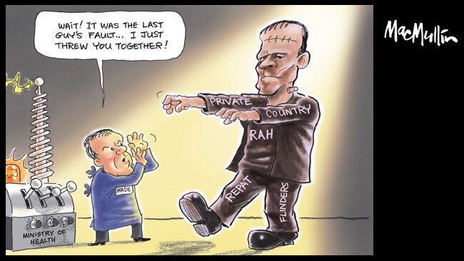 Sunday Mail cartoonist Peter MacMullin's view.