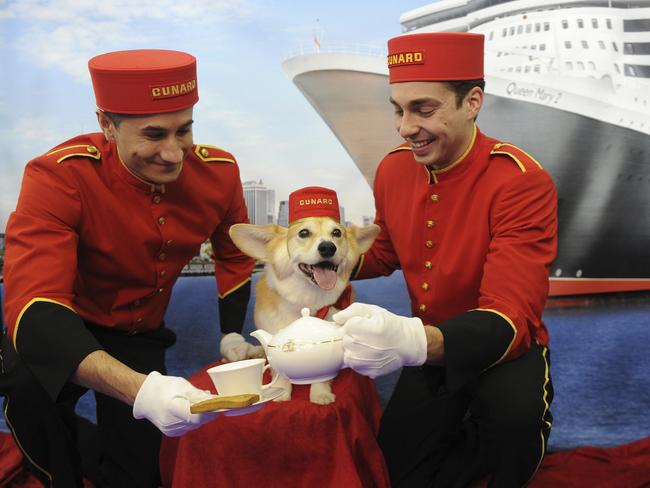 Queen Mary 2 lets your dogs come along for the cruise. Picture: Cunard/AP Images