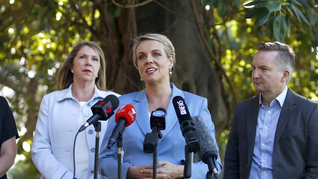 Deputy Leader of the Opposition Tanya Plibersek. Picture: AAP.