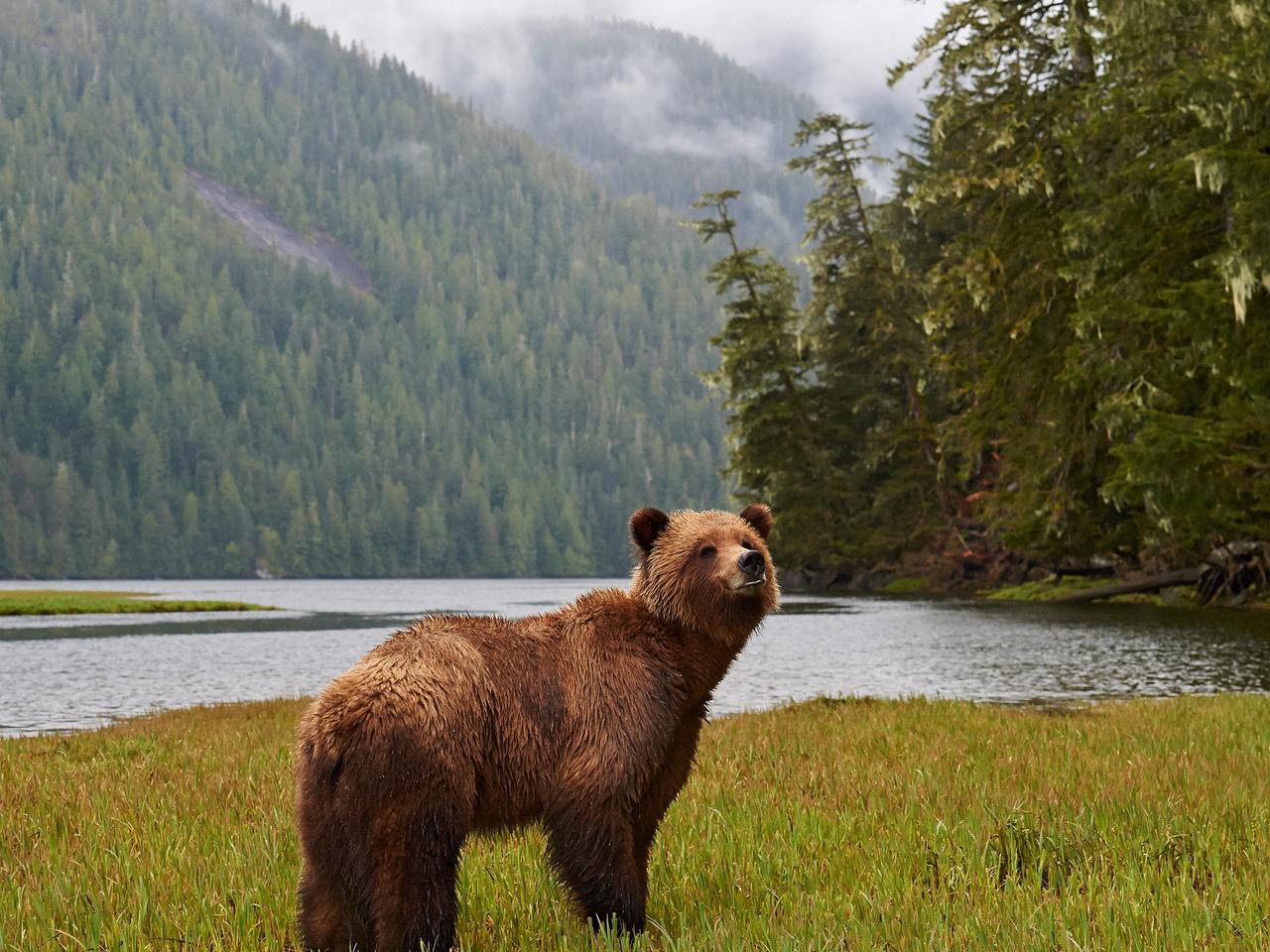 best-nature-in-canada-see-the-rocky-mountains-and-polar-bears-escape