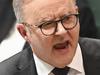 Albo slams Coalition’s ‘nuclear fantasy’