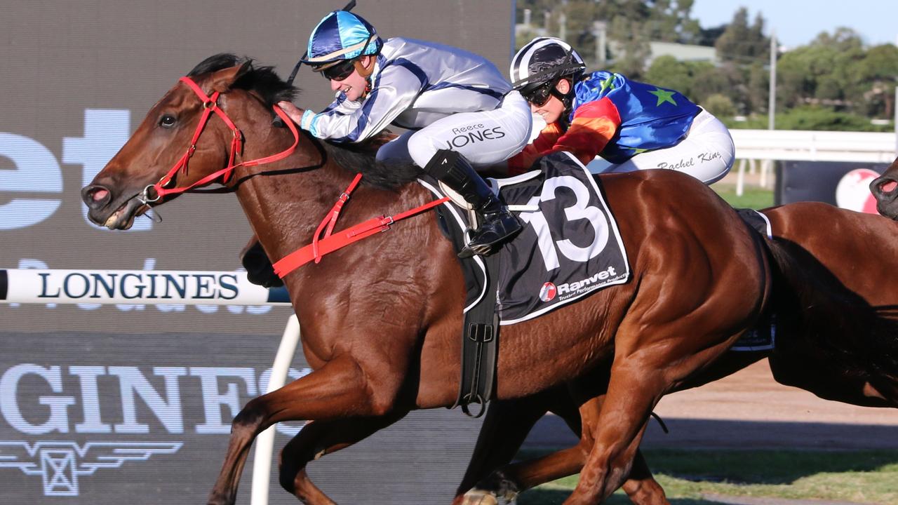 Mach Schnell has been well supported at Randwick on Saturday. Picture: Grant Guy