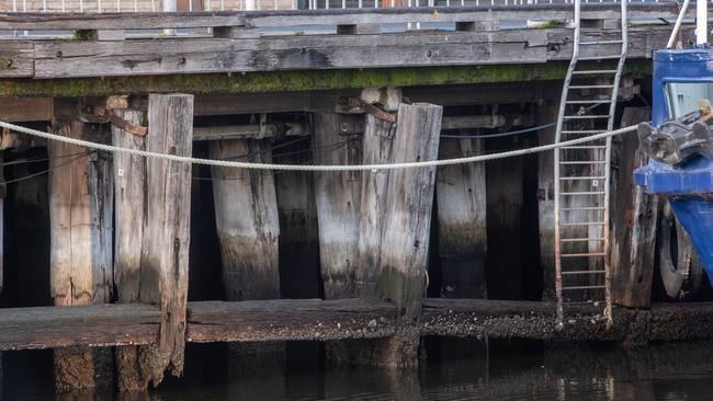 The “forest” of pylons beneath Central Pier. Picture: Jason Edwards