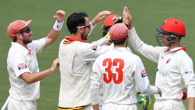 Redback players celebrate the dismissal of Matthew Wade of the Tigers during day four of the Marsh Sheffield Shield match at Adelaide Oval. Picture: AAP Image/David Mariuz