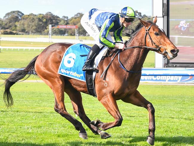 Mantua ridden by Ethan Brown wins the Sportsbet Feed Handicap at Sportsbet Sandown Hillside Racecourse on September 18, 2024 in Springvale, Australia. (Photo by Pat Scala/Racing Photos)