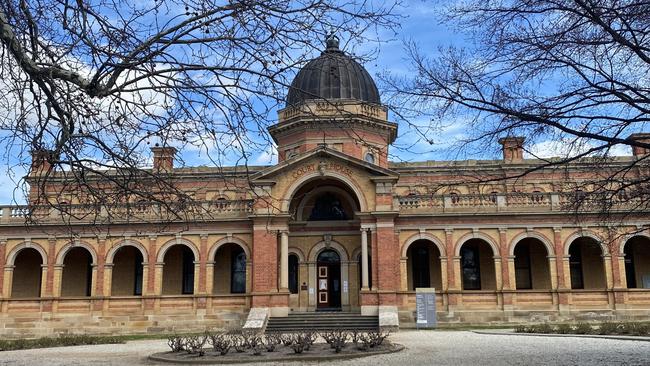 Kenji Peter Aoki appeared at Goulburn Local Court via audio-visual link for his sentence. Picture: Niki Iliagoueva