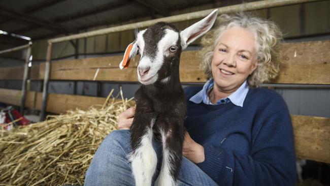 Julie Cameron, co-owner of Meredith Dairy, has revealed a dairy application for Meredith is a back up plan. Photo: Dannika Bonser