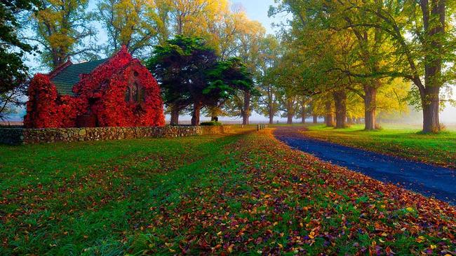 Autumn in Armidale is as beautiful as it gets. Picture: Armidale Tourism