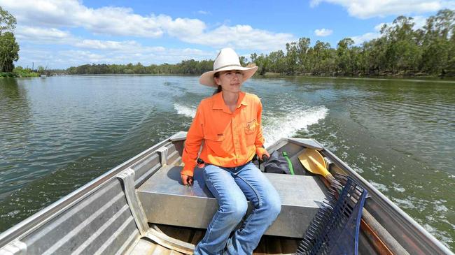 Environmental Field Officer Kymberly Robinson patrolling a 12km section of the Fitzroy River where she is working to protect Fitzroy River Turtle nesting sites from predators. Picture: Chris Ison ROK261115cturtle1